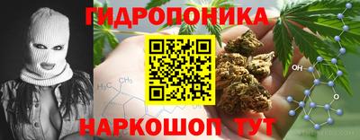 шишки Ливны
